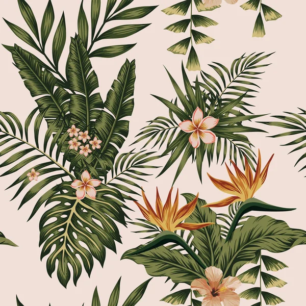 Trendiga Illustration Exotiska Blommorna Hibiscus Plumeria Paradisfågel Och Växter Bananblad — Stock vektor