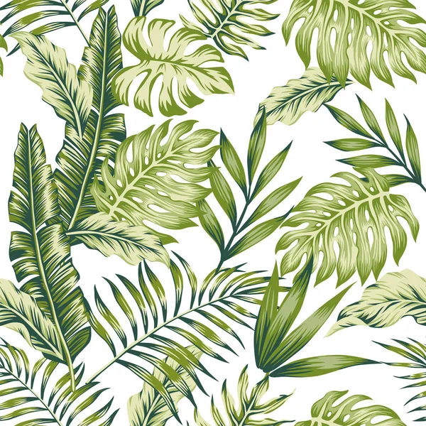 パステル グリーンの熱帯のジャングルの葉椰子バナナ ホワイト バック グラウンドのシームレスなパターン構成 — ストックベクタ