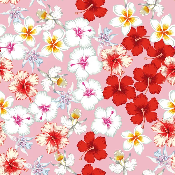 Tropiska Vacker Blomma Hibiscus Lily Plumeria Frangipani Mönster Sömlös Rosa — Stock vektor