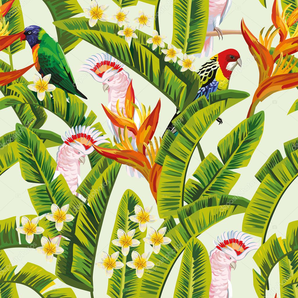 Exotic tropical birds parrot in the green jungle flowers frangipani plumeria white background