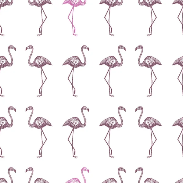 Hand Getrokken Schets Vector Flamingo Bordo Roze Kleur Naadloze Patroon — Stockvector