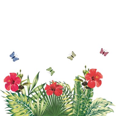 Çiçek kompozisyon kırmızı hibiscus kelebekler tropik bitkiler whit