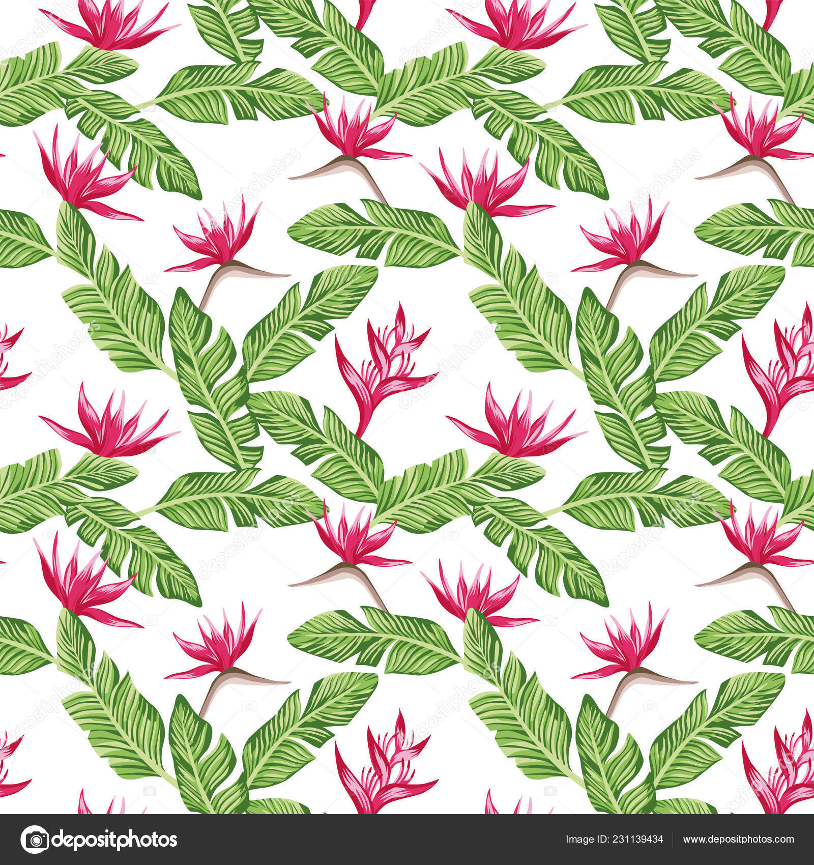 Seamless Vector Summer Composition Green Banana Leaves Red