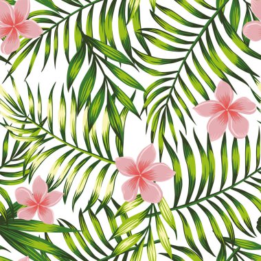 Parlak orman yeşil tropikal yaprak ve pembe çiçekler frangipani (plumeria) Dikişsiz desen egzotik duvar kağıdı. Vektör kompozisyon beyaz arka plan