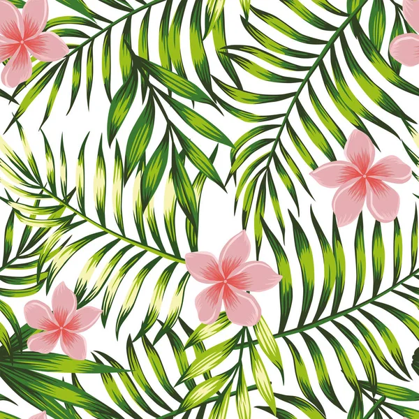 Parlak orman yeşil tropikal yaprak ve pembe çiçekler frangipani (plumeria) Dikişsiz desen egzotik duvar kağıdı. Vektör kompozisyon beyaz arka plan
