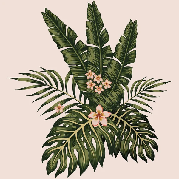Folhas Tropicais Vetoriais Flores Frangipani Plumeria Composição Primavera Estilo Havaiano — Vetor de Stock