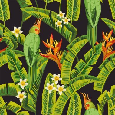 Güzel tropik kuş papağan yeşil yaprakları çiçek frangipani (plumeria), cennet kuşu ve palm muz ile egzotik orman renk. Sorunsuz kompozisyon gerçekçi vektör yaz
