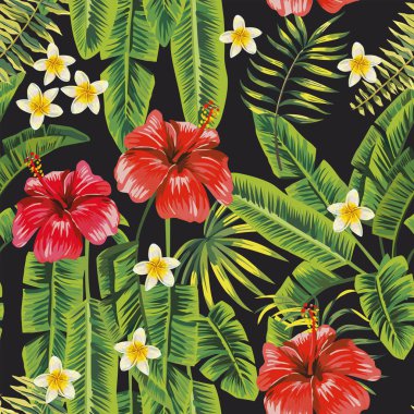 Muz yeşil yaprakları ve kırmızı ebegümeci, siyah arka plan beyaz plumeria (frangipani) çiçekler Dikişsiz desen. Vektör botanik compoition