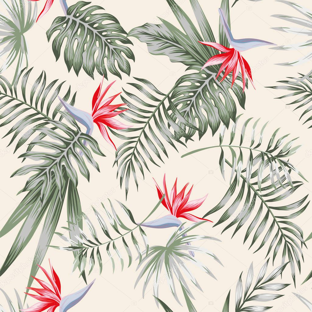 Exotic tropical flowers red bird of paradise (strelitzia) and green leaves on the light background pattern seamless