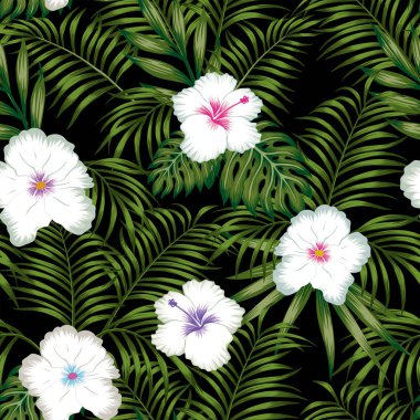 Beyaz hibiscus çiçek ve yeşil tropikal yaprak sorunsuz vektör desen siyah arka plan üzerine