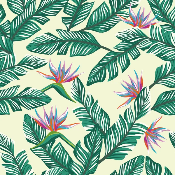 异国情调的花鸟的天堂 抽象的颜色和绿色热带香蕉叶上的沙滩沙背景图案 现实载体无缝植物学构成 — 图库矢量图片