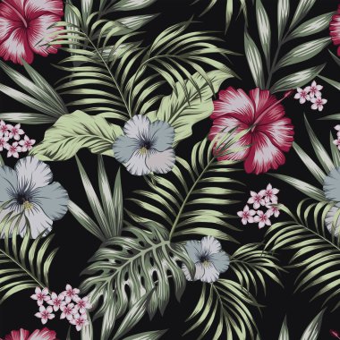 Tropikal egzotik çiçek ebegümeci, frangipani (plumeria) ve palmiye, muz kompozisyon bırakır. Vektör seamless modeli siyah arka plan üzerine