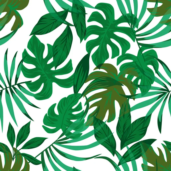 Tropische Grüne Palme Monstera Blätter Nahtloses Vektormuster Auf Weißem Hintergrund — Stockvektor