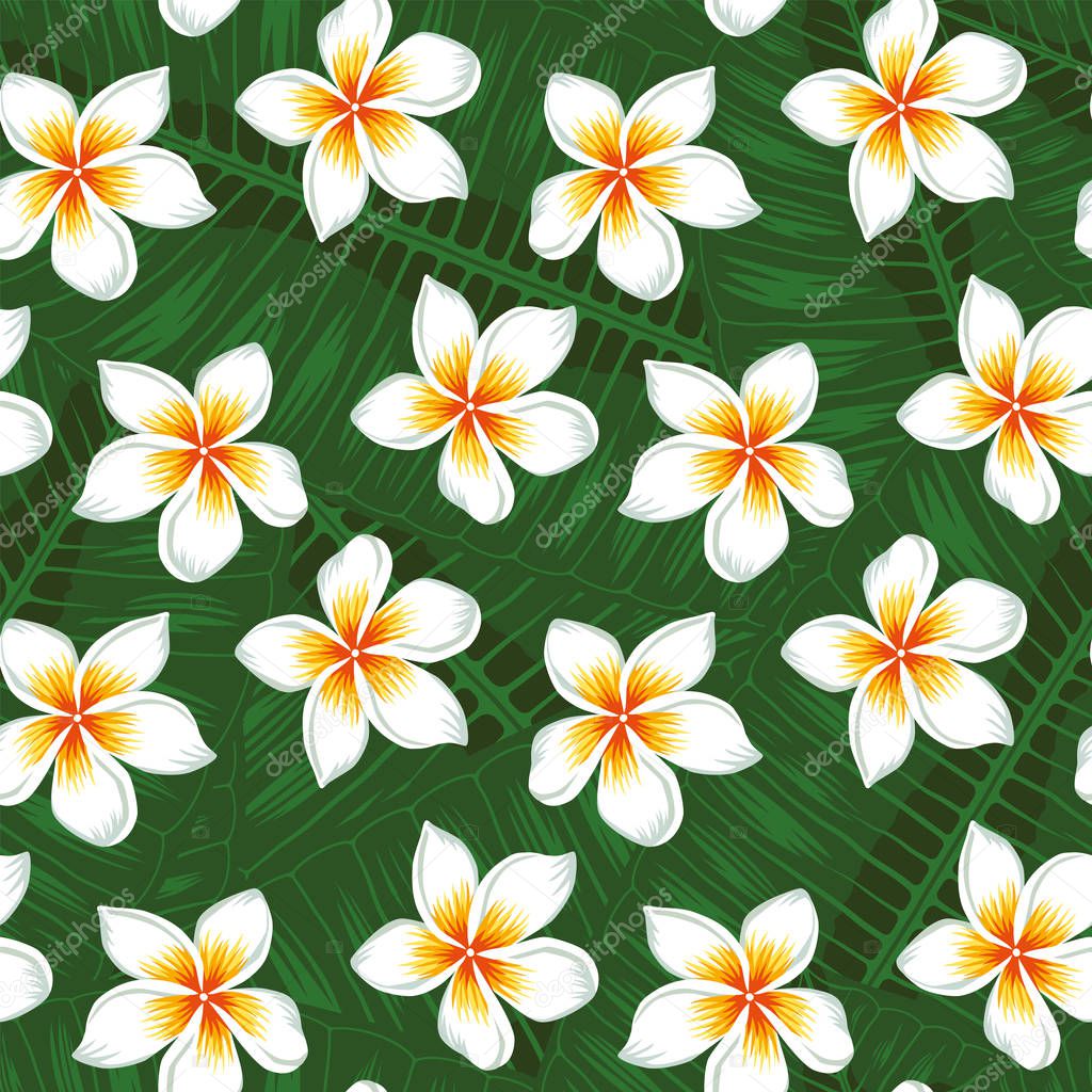 Beautiful realistic flowers white plumeria on the green tropical leaves background seamless vector pattern.