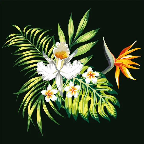 Exotische Trendige Komposition Aus Tropischen Blumen Lilie Federn Paradiesvogel Und — Stockvektor