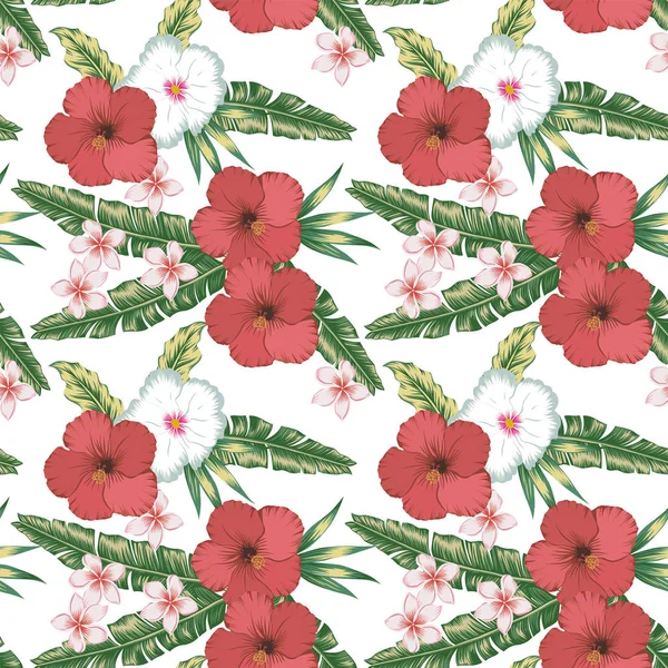 Hibiscus plumeria hojas verdes fondo blanco sin costuras — Vector de stock