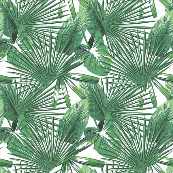 Tropical leaves seamless pattern white background — Stock Vector