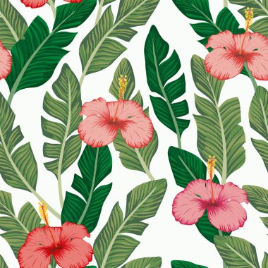 Hibiscus kesintisiz beyaz backgorund yeşil muz yaprakları