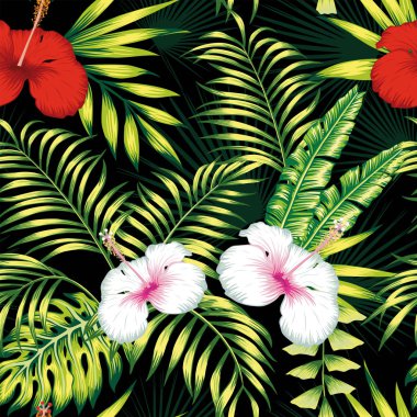 Sorunsuz siyah arka plan beyaz kırmızı hibiscus yeşil yaprakları