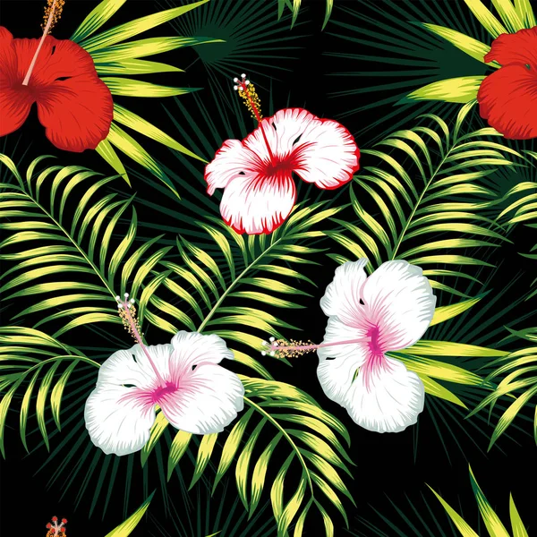 Sorunsuz siyah arka plan çok renkli hibiscus yeşil yaprakları