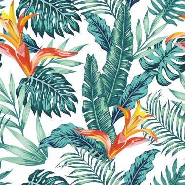 Dikişsiz desen tropikal yaprakları çiçekler beyaz arka plan