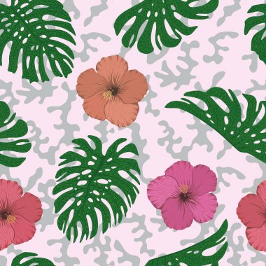 Monstera ebegümeci sorunsuz pembe gri backgorund bırakır