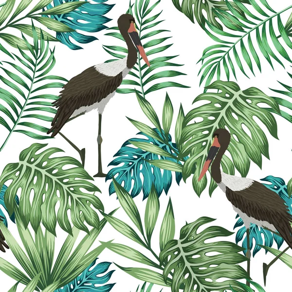 Pájaro exótico selva tropical sin costuras fondo blanco — Vector de stock