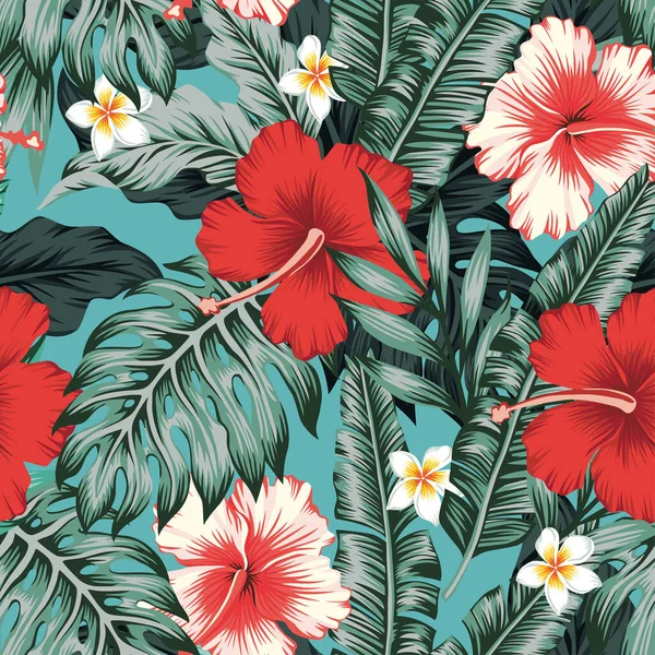 Schöne Rote Und Weiße Exotische Tropische Blumen Hibiskus Plumeria Frangipani — Stockvektor