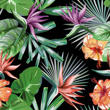 Tropikal palmiye yaprakları, muz yaprakları ve cennet kuşu, strelitzia, siyah arkaplan yeşil vektör tarzında amber çiçeği ile kusursuz, canlı egzotik desen. Hawaii tropik doğal çiçek duvar kâğıdı
