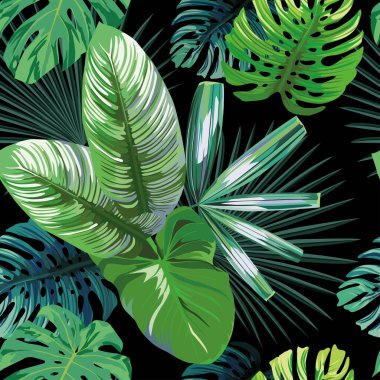 Tropikal palmiye, muz ve canavar yapraklı kusursuz egzotik desenler. Siyah arka plan yeşil vektör tarzında. Hawaii tropik doğal çiçek duvar kâğıdı