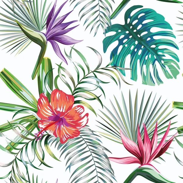 Belas Plantas Tropicais Exóticas Hibiscos Pássaro Paraíso Flores Padrão Vetor —  Vetores de Stock