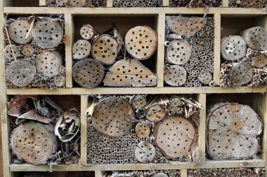 Bug hotel in a wooden frame for insects to breed and overwinter in with holes drilled in logs, grass stems and bamboo canes. clipart