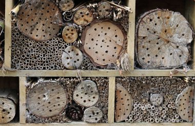 Bir ahşap çerçeve doğurmak ve delikleri ile overwinter böcekler için otelin hata günlükleri, çimen sapları, bambu kamışı ve kozalaklı koniler delinmiş. 