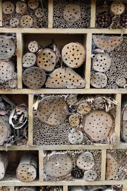 Bug hotel in a wooden frame for insects to breed and overwinter in with holes drilled in logs, grass stems and bamboo canes. clipart