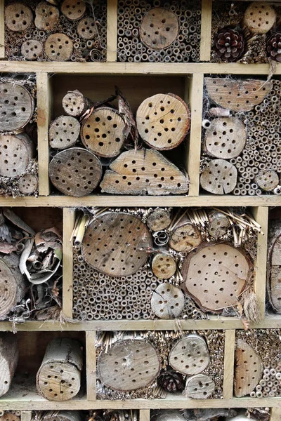 Bug hotel in a wooden frame for insects to breed and overwinter in with holes drilled in logs, grass stems and bamboo canes.