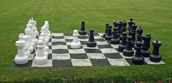 Açık büyük boyutlu satranç seti bir çim çim ortaya koydu. Parçaları doğru yerlerde görünmektedir.