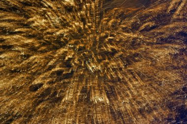 Arka plan olarak kullanılabilir gibi çekici bir desen yapma yavaş çekim hızı, patlayan havai fişek.