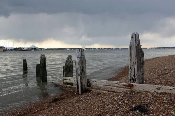 Rivage Rivière Avec Brise Lames Bois Pourri Entouré Par Plage — Photo