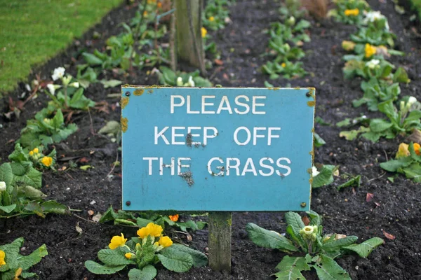 淡い青の背景に白い大文字文字 してください芝生の維持は 言葉でサインインします 観賞用の桜草花壇に建立されました 側に芝生の草 — ストック写真