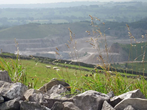 Paysage Derbyshire Avec Mur Pierre Sèche Premier Plan Surmonté Herbes — Photo