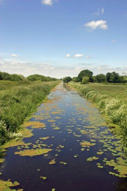 Nehir ile derin mavi durgun su kayan ve marjinal bitkiler tarafından saçaklı. Arka plan beyaz bulutlar, ağaçlar mesafe ve bir yana bir çayır ile mavi gökyüzü nedir.