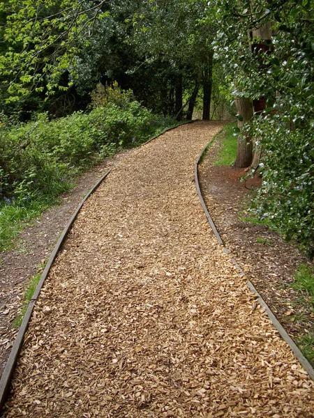 Chemin Bois Bordé Copeaux Bois Ornementaux Qui Traverse Les Arbres — Photo