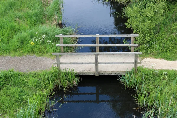 Sentiero Pedonale Che Attraversa Ruscello Utilizzando Ponte Legno Con Vegetazione — Foto Stock