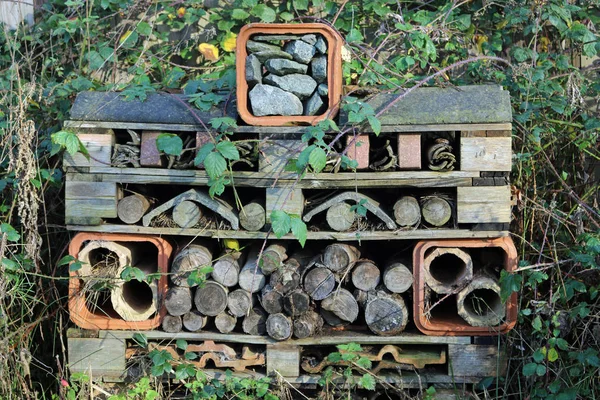 A bug hotel for insects and other invertebrates made from wooden pallets with pipes, roofing tiles, logs, stones and bits of wood surrounded by brambles.