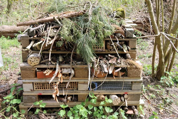 Bug hotel for insects and other animals made from pallets with logs, clay pots, bricks, grass, twigs and topped by conifer branches with a background of trees and scrub.