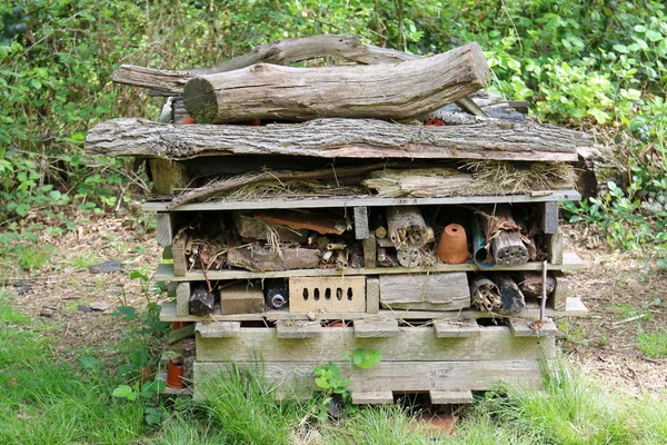 Bug hotel in a wooden frame of pallets for insects to breed and overwinter in with holes drilled in logs, grass and plant stems, large logs, bricks and flower pots with vegetation in the background.
