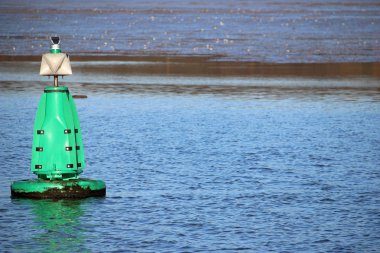 Suffolk, İngiltere'de nehir Stour üzerinde yüzen yeşil marker şamandıra. Hiçbir işaret. Arka plan uzakta nehir banka ile. İyi kopya alanı.