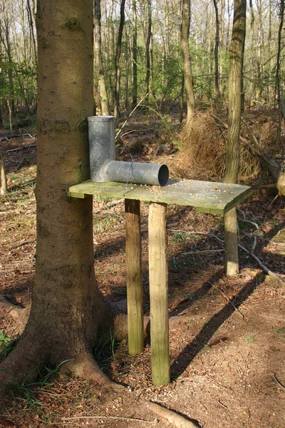 Metall Wildvogelfutterspender Auf Zwei Holzpfählen Neben Einem Baum Wald Mit — Stockfoto