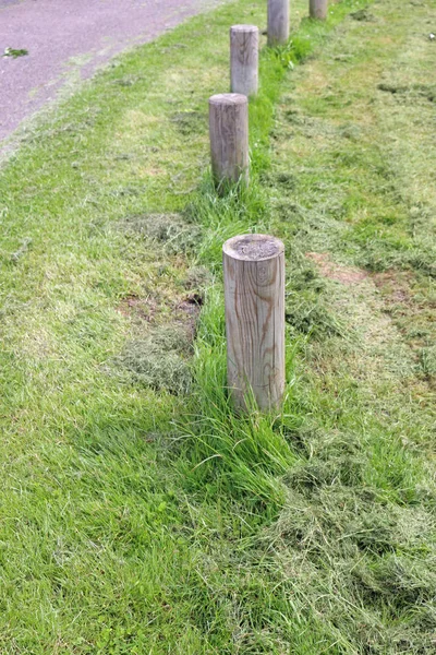 Poor standard of grass cutting around posts adjacent to a road where follow up strimming has not taken place leaving long grass.