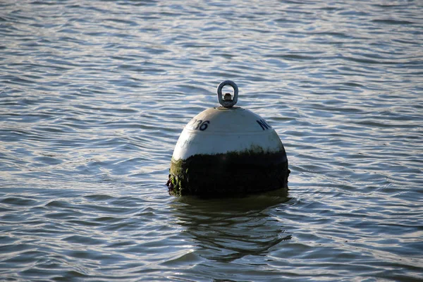 停泊浮标漂浮在英国萨福克的 Stour 具有良好复制空间的河水背景 — 图库照片
